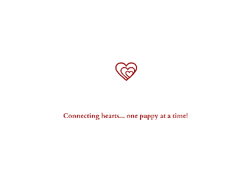 Heartland Acres Puppies